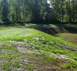 Seminar Sparks Rethinking Curve Number Rainfall-Runoff Method