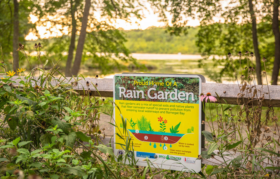 Rain garden sign at Lake Carasaljo alerts pedestrians of its existence