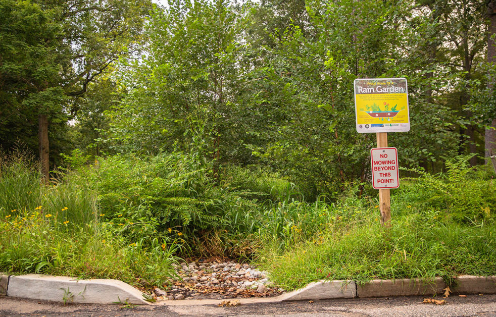 Rain garden sign at Lake Carasaljo alerts pedestrians of its existence