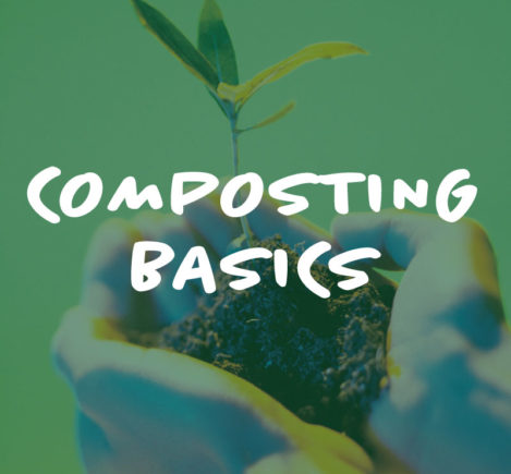 Hands holding soil and sprouting plant with composting basics text