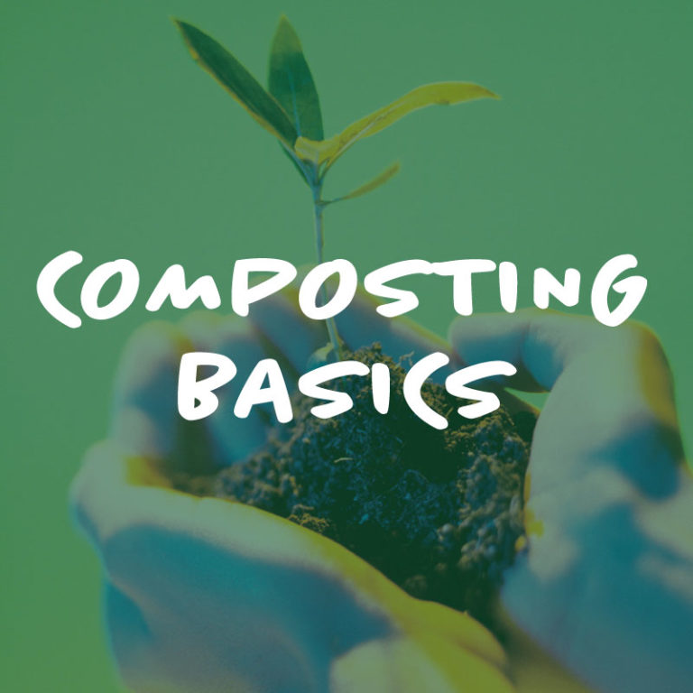 Hands holding soil and sprouting plant with composting basics text