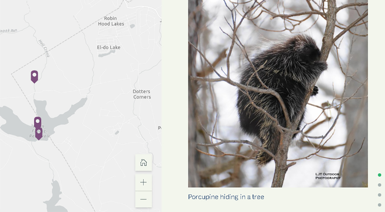 Screenshot of Bethlehem Authority web maps displaying local wildlife