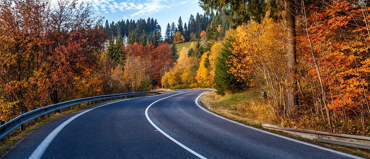 Safely Driving Through Autumn
