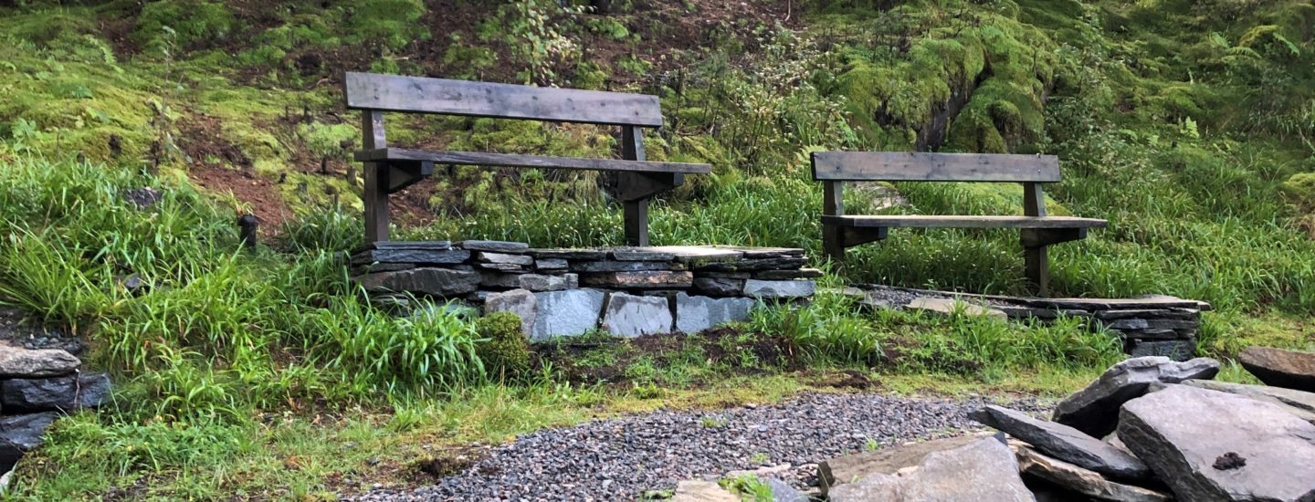 Spring Safety: Working Around Plants, Insects, and Animals