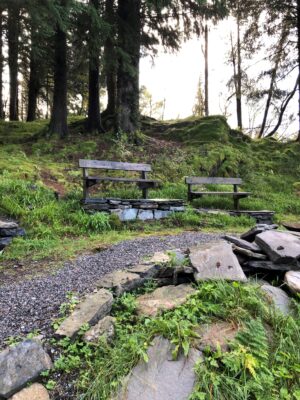 Spring Safety: Working Around Plants, Insects, and Animals