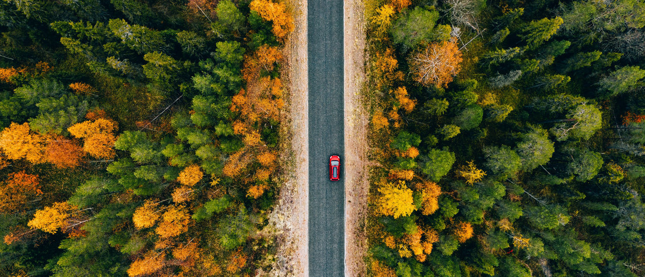 Fall Driving in 2022
