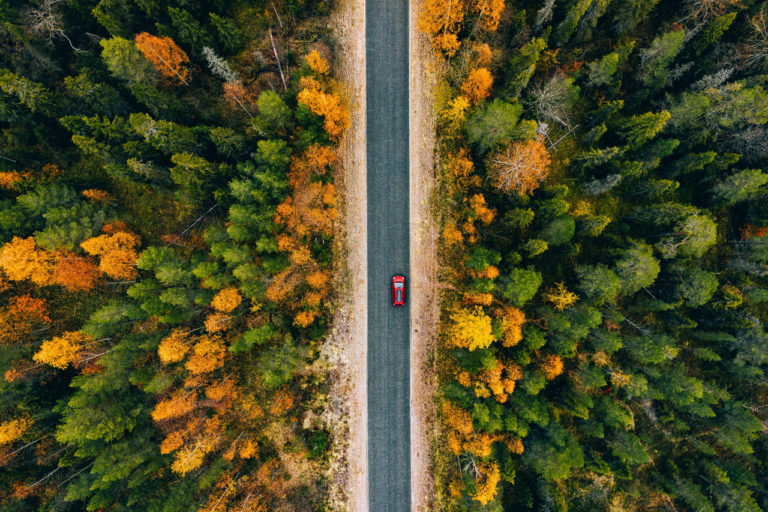 Car driving through Fall forest