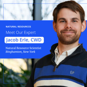 The Hidden Value of Brick Pond: Preserving Natural Resources Through Wetland Delineation