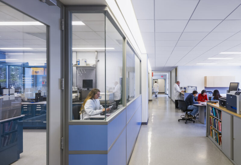 Individuals at Brookhaven National Lab utilizing the diverse lab and learning space.