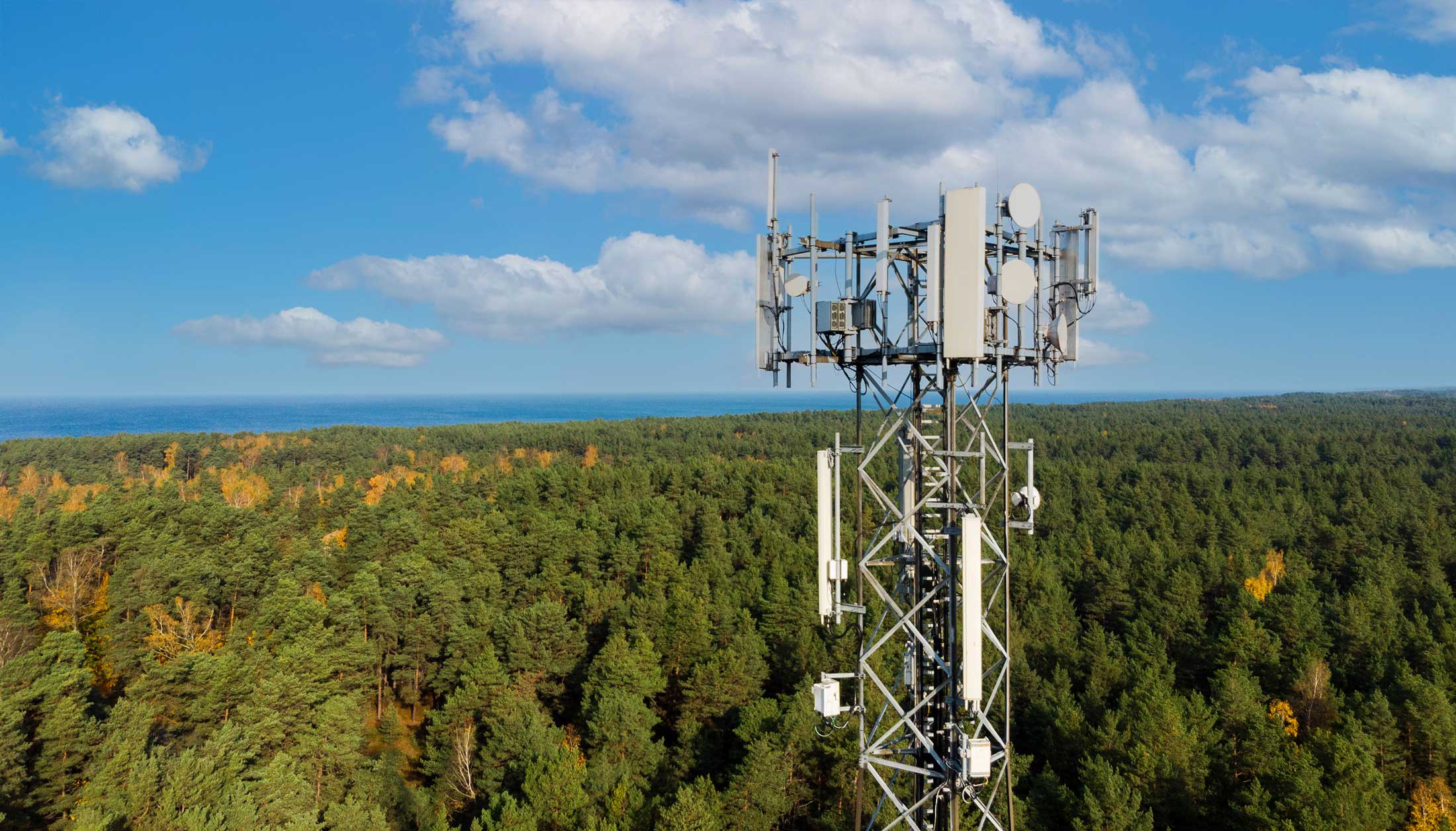 Telecom tower situated in the middle of a lush forest during a cloudy day with blue skies.