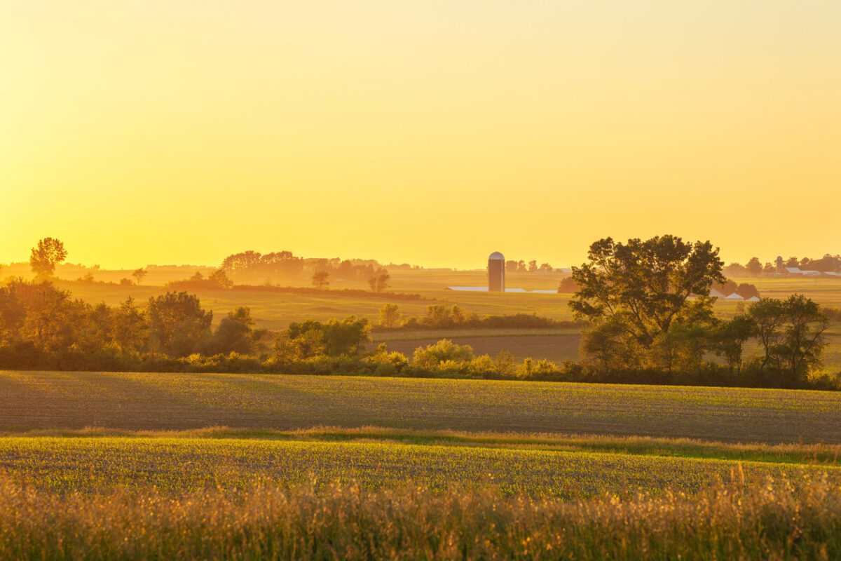 Farm and fields and trees at sunset in northeastern Iowa during the late spring