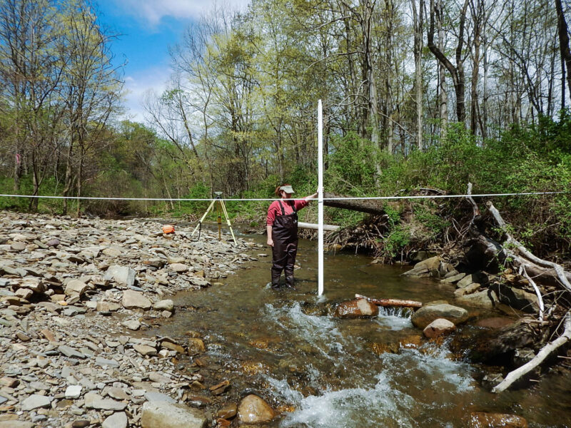 Professional inspects stream for creek restoration