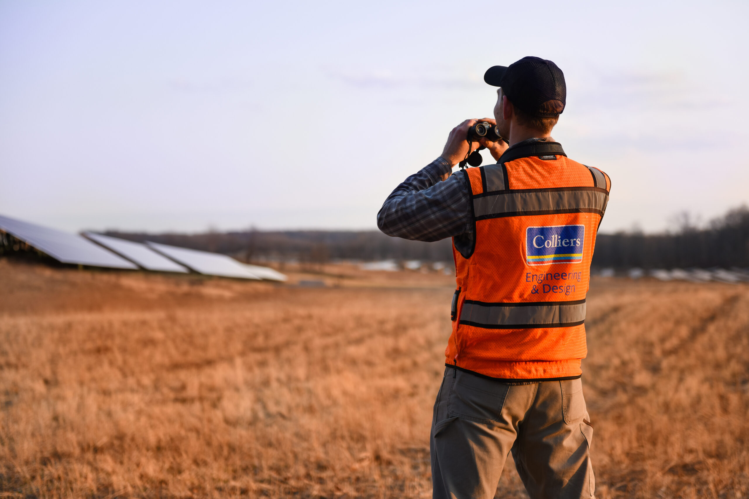 Man looking through binoculars in a wheat field at a row of solar panels