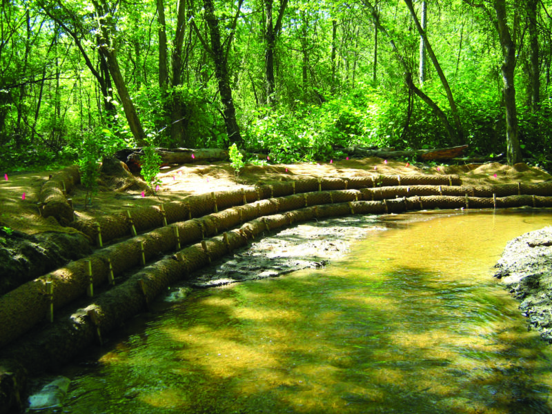 Flowing stream alongside dirt pathway in forest.