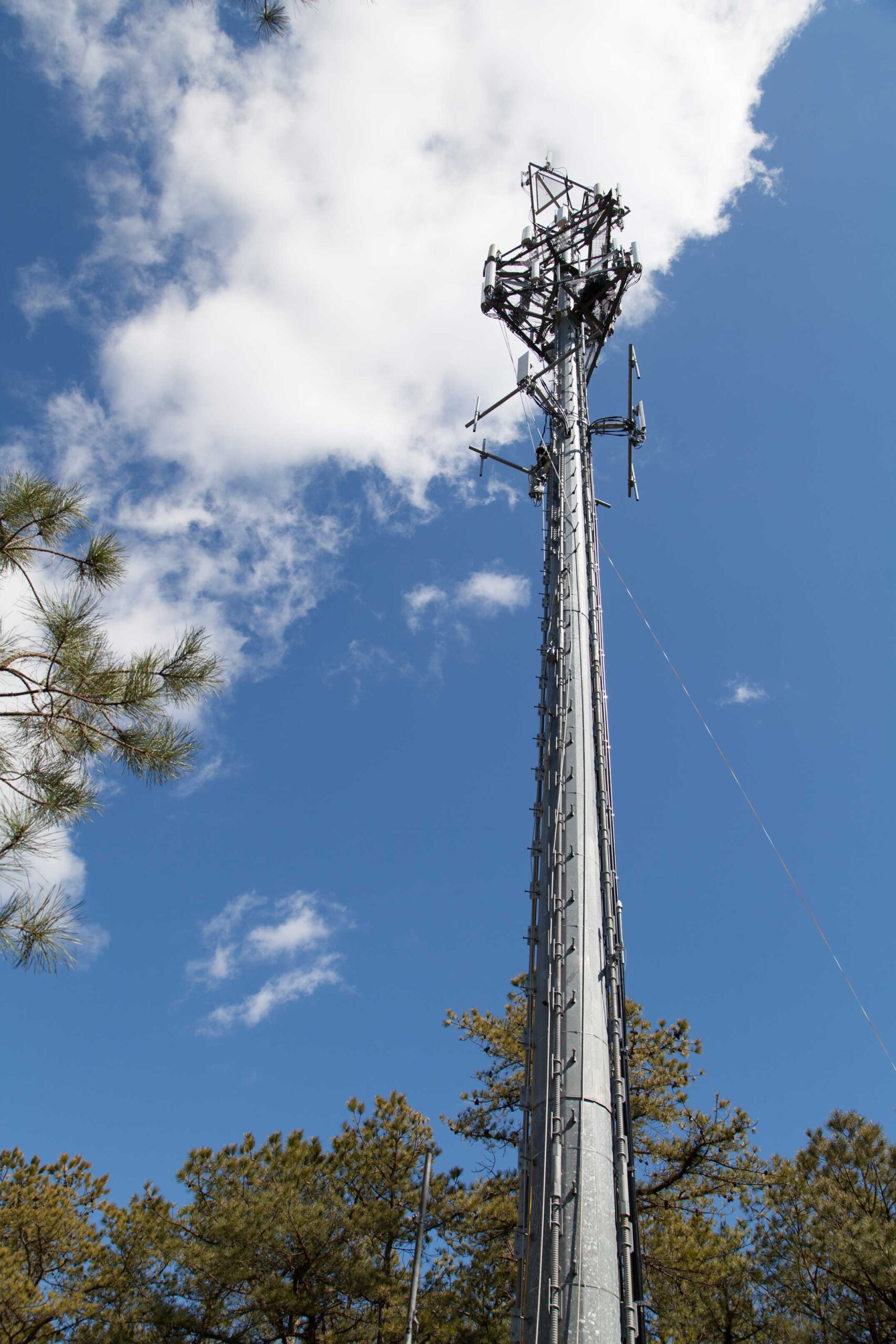 Standalone monopole with pine trees and a cloudy bright blue sky in the background.