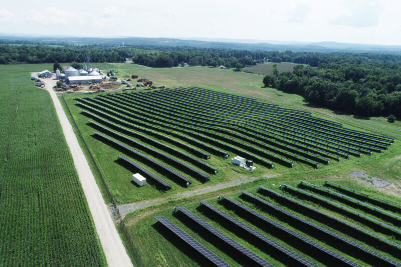 Field of solar panels