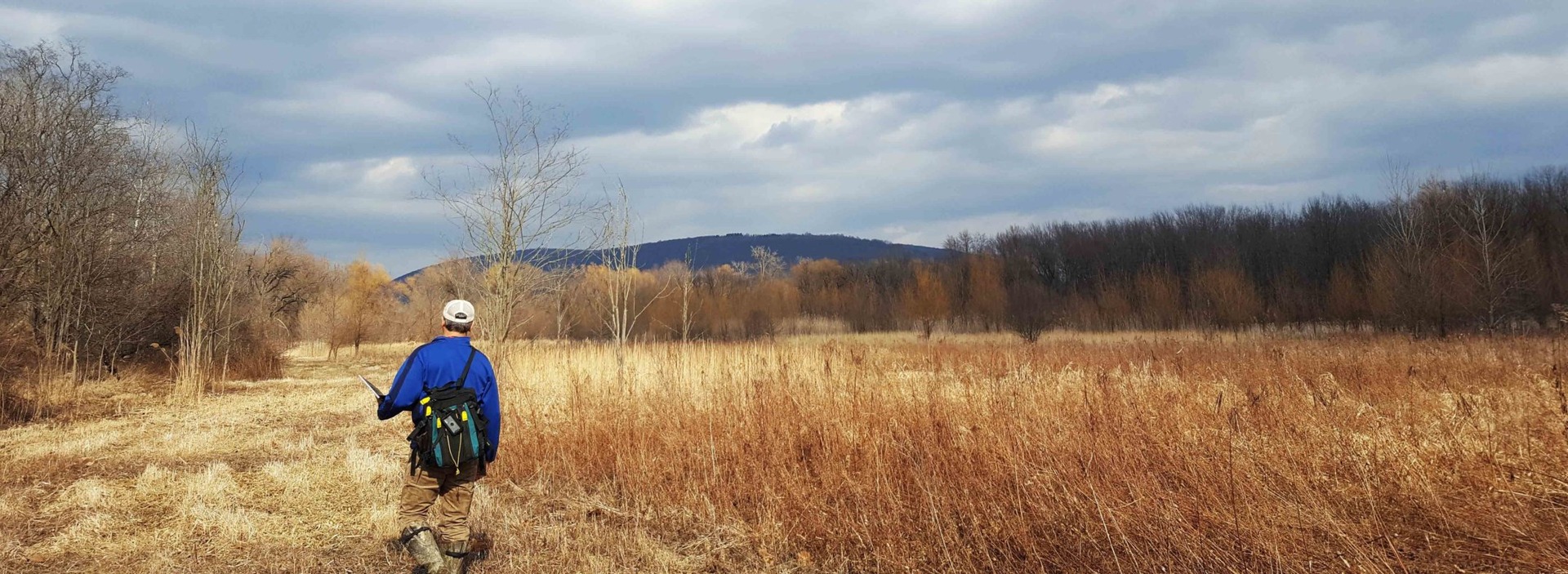 The Parish Flats Floodplain and Wetlands Restoration