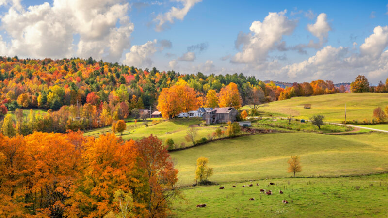 Vermont