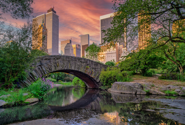 Gapstow Bridge in Central Park in sumer, early morning