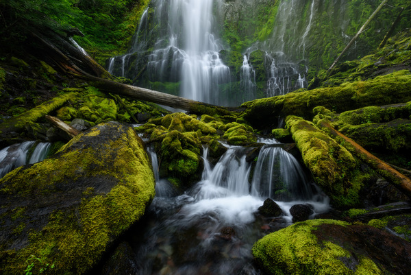 Proxy Falls in July, Oregon, USA. High and beautiful water falls with plenty of water flowing and several logs jam.