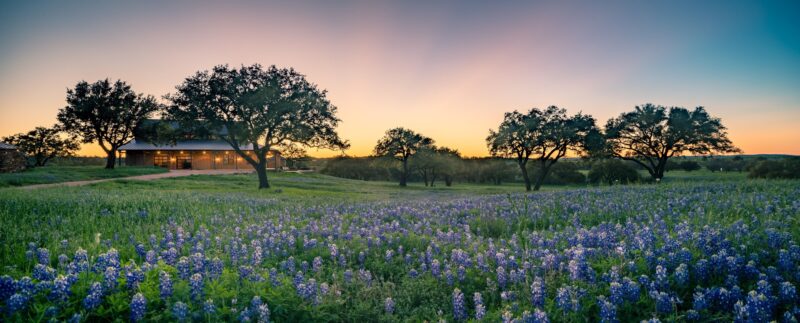 Texas