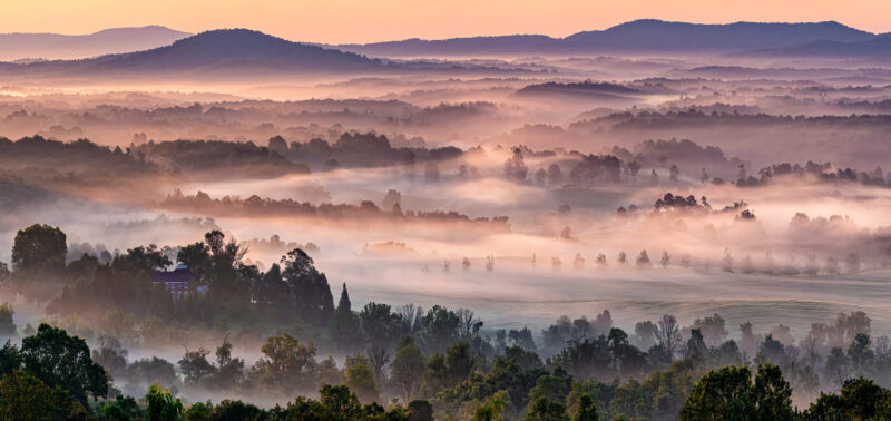 Virginia