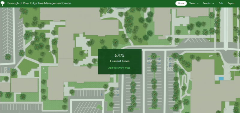 Our Customized GIS Solution for Tree Management